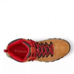 Columbia Men's Newton Ridge Plus II Suede Waterproof Hiking Boot