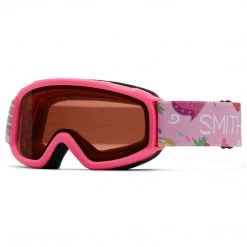 Smith Optics Sidekick Youth Snow Goggle Outdoor