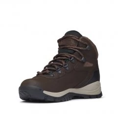 Columbia Women's Newton Ridge Plus Waterproof Hiking Boot