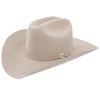 STETSON 6X SKYLINE WESTERN HAT Hats