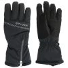 Spyder Collection Ski Glove - Black/Silver - Womens